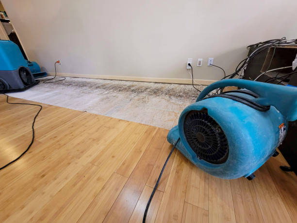 Professional Emergency Water Damage technician working in Newton Center, MA